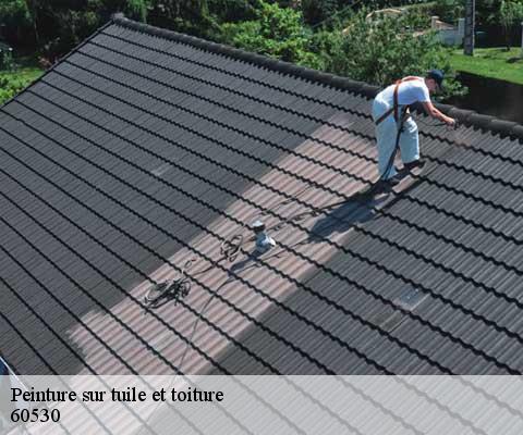 Peinture sur tuile et toiture  60530